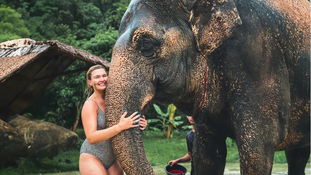 Phuket Elephant Care — 2