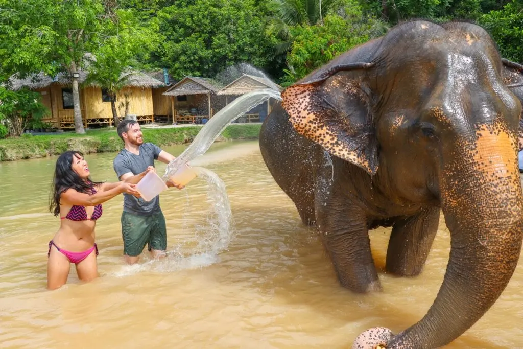 Phuket Elephant Care — 5