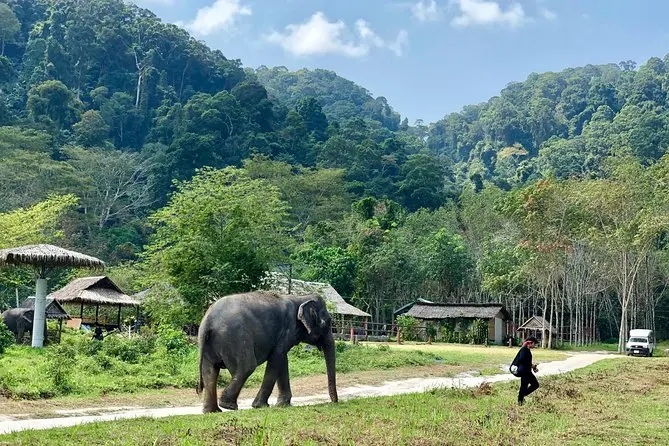 Phuket Elephant Care